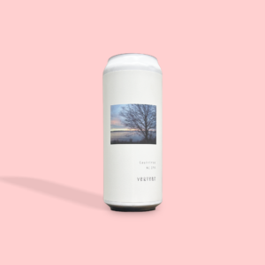 Nobody Brewing / The Slowcore / マイクロIPA / 3.5% / 埼玉県 4 VERTERE / Casimiroa / ニューイングランドIPA / 7.5% / 東京都