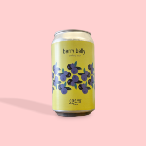 うちゅうブルーイング / ATOM KIWIFRUIT / トロピカルスムージーサワー / 5.5% / 山梨県 2 OPEN AIR BREWING / berry belly / ブルーベリーサワー / 6% / 兵庫県